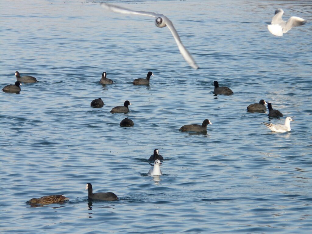 How To Use AI For Side Hustles