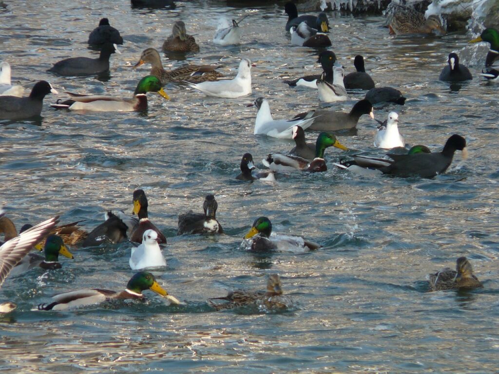 How To Use AI For Side Hustles